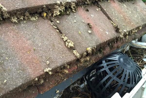 How much does Gutter Cleaning Cost?