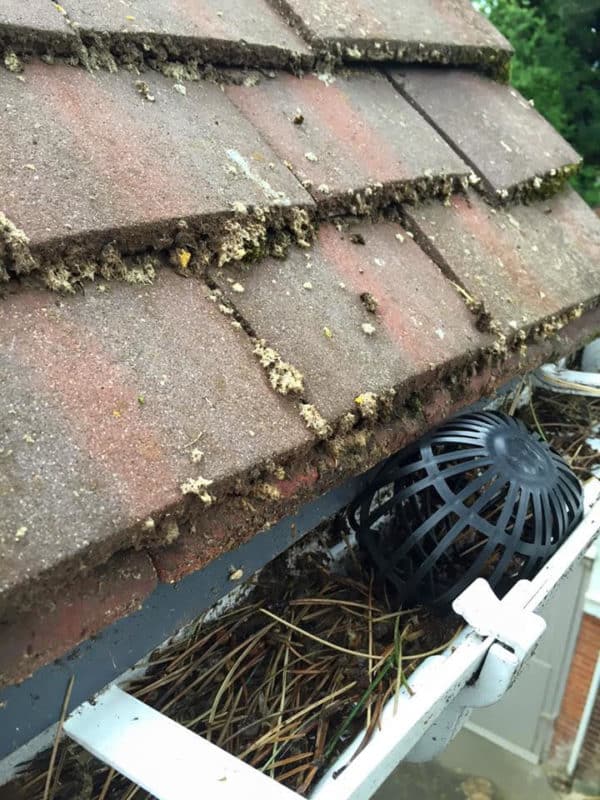 London Bin Cleaning Block Gutter