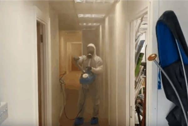 How to kill Viruses