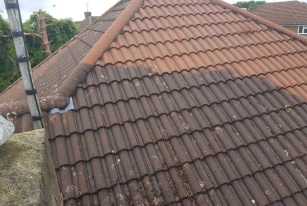 Roof Cleaning Company Bedfordshire